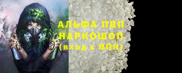 индика Куйбышев