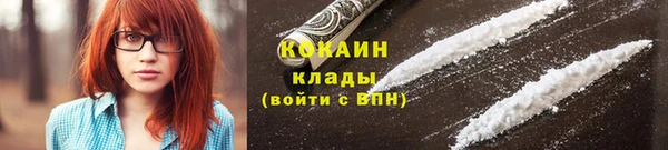индика Куйбышев