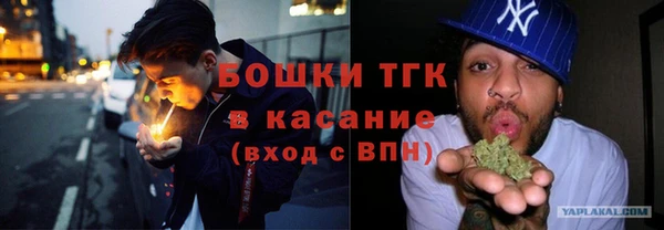 индика Куйбышев