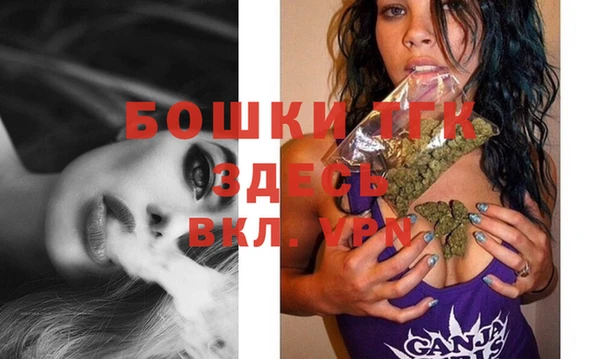 индика Куйбышев