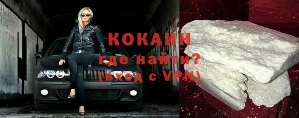 индика Куйбышев