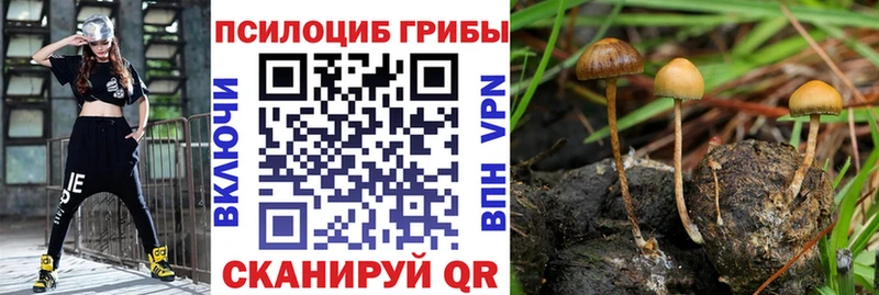 Галлюциногенные грибы Magic Shrooms  Талдом 